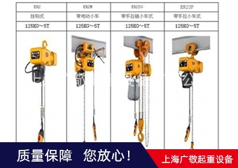 揭阳厂家直销保用一年 环链91视频APP黄免费观看 250公斤 300公斤 500公斤 1吨